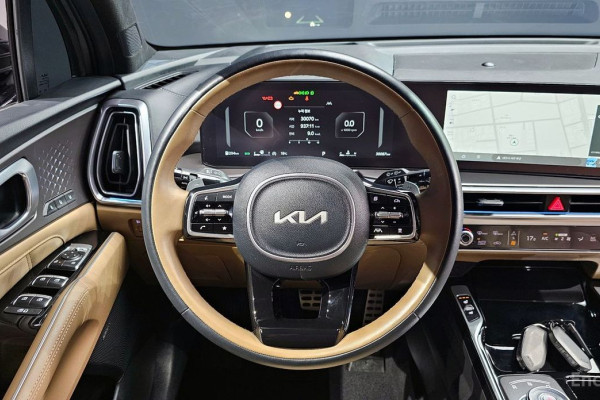 2025 Kia Sorento с пробегом 30 087 км
