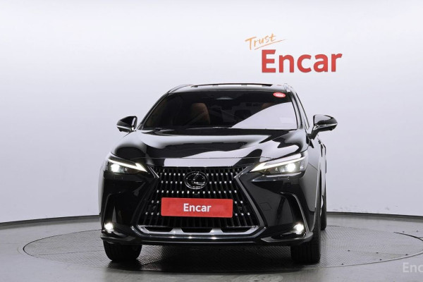 2023 Lexus NX с пробегом 30 622 км