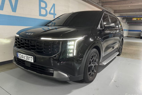 2025 Kia Carnival с пробегом 17 100 км