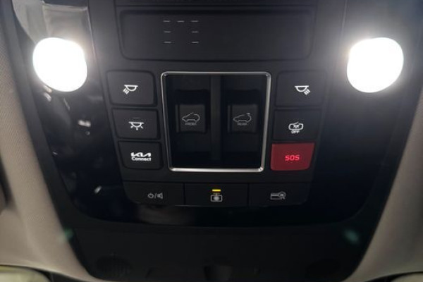 2025 Kia Carnival с пробегом 17 100 км