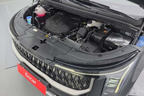 2025 Kia Carnival с пробегом 20 403 км