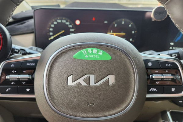 2023 Kia Carnival с пробегом 22 015 км