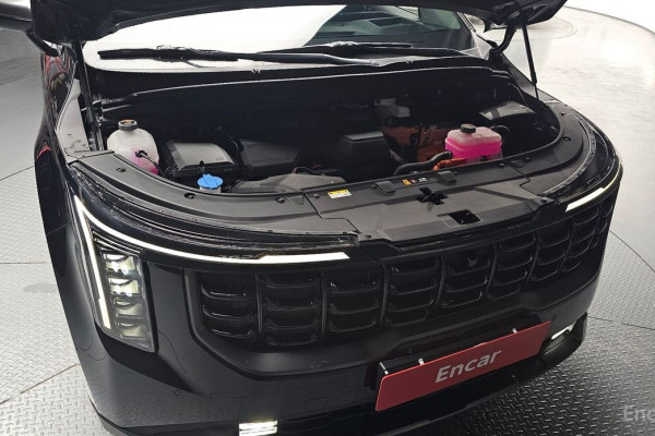 2024 Kia Carnival с пробегом 18 722 км