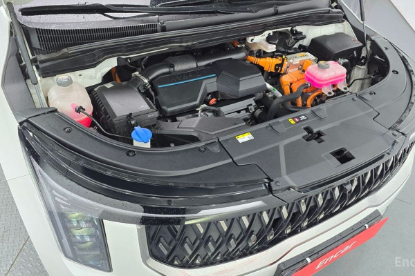 2024 Kia Carnival с пробегом 60 010 км