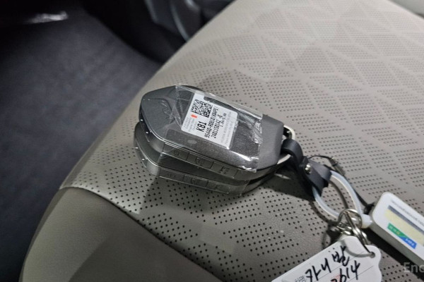 2024 Kia Carnival с пробегом 28 854 км