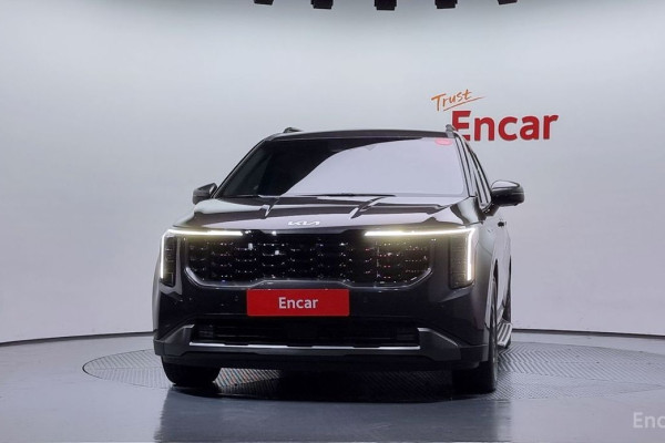 2024 Kia Carnival с пробегом 20 443 км