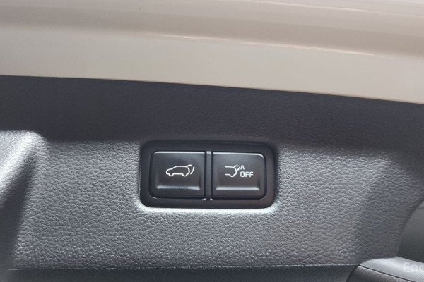 2024 Kia Carnival с пробегом 11 667 км