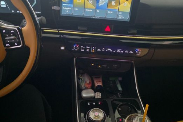 2024 Kia Carnival с пробегом 23 528 км