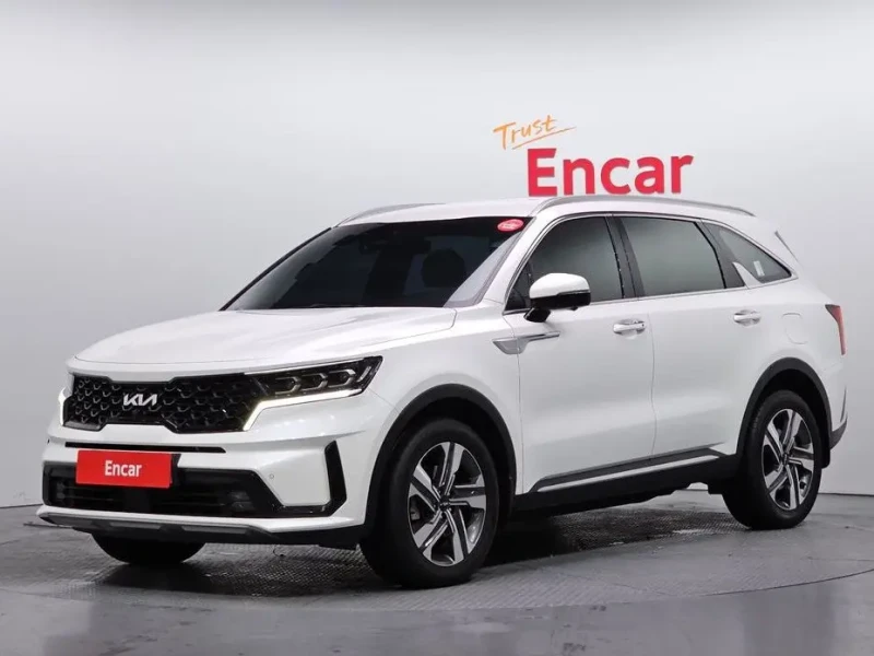 2020 Kia Sorento с пробегом 132 004 км
