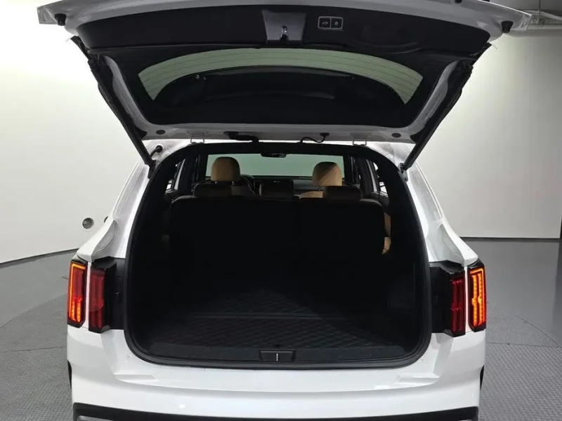 2020 Kia Sorento с пробегом 101 399 км