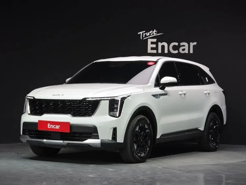 2024 Kia Sorento с пробегом 132 605 км