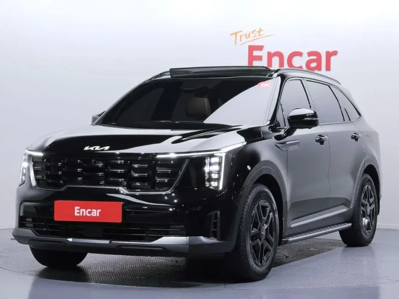 2024 Kia Sorento с пробегом 34 419 км