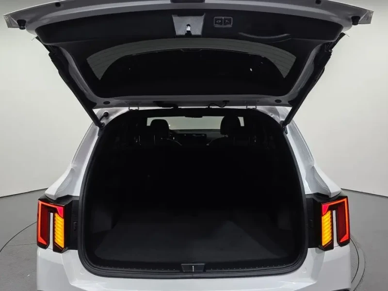 2024 Kia Sorento с пробегом 31 141 км