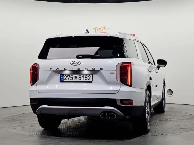 2019 Hyundai Palisade с пробегом 171 172 км