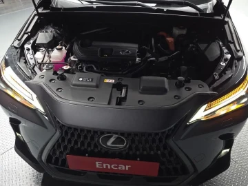 2024 Lexus NX с пробегом 29 136 км