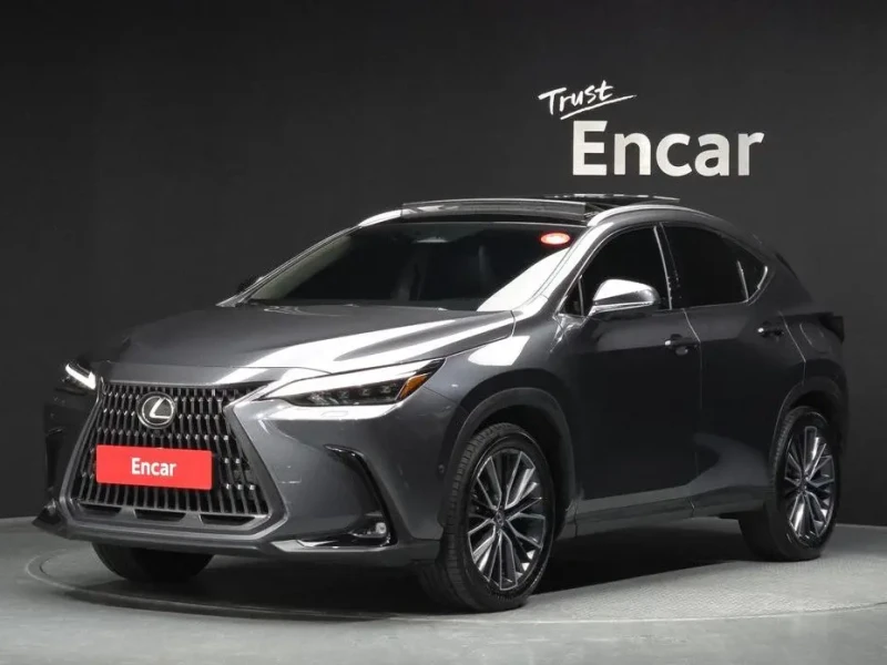 2024 Lexus NX с пробегом 29 136 км