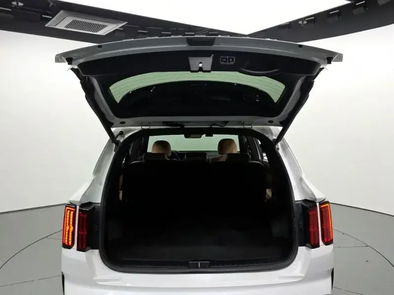 2021 Kia Sorento с пробегом 179 130 км