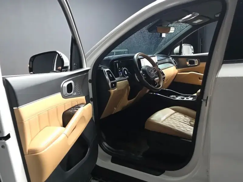 2020 Kia Sorento с пробегом 49 835 км