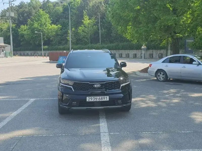 2021 Kia Sorento с пробегом 46 233 км