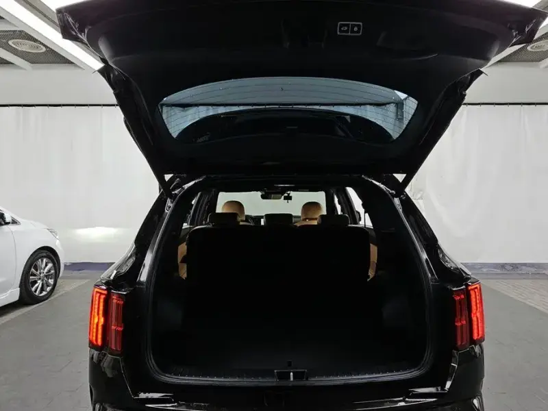2023 Kia Sorento с пробегом 114 204 км