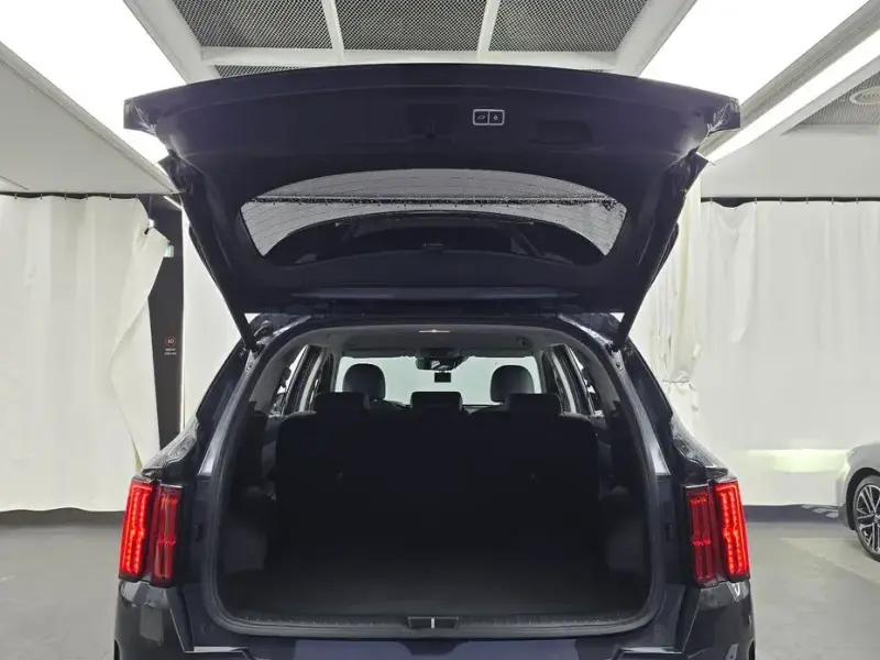 2020 Kia Sorento с пробегом 49 752 км