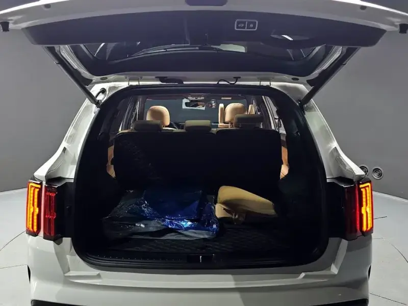 2021 Kia Sorento с пробегом 46 885 км