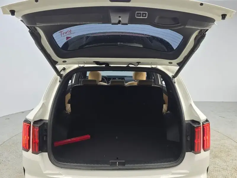 2022 Kia Sorento с пробегом 51 295 км