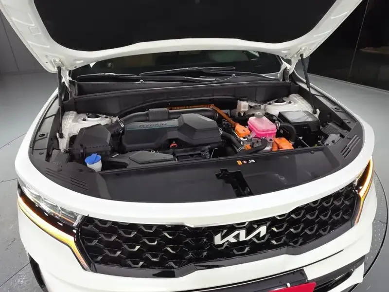 2022 Kia Sorento с пробегом 110 639 км
