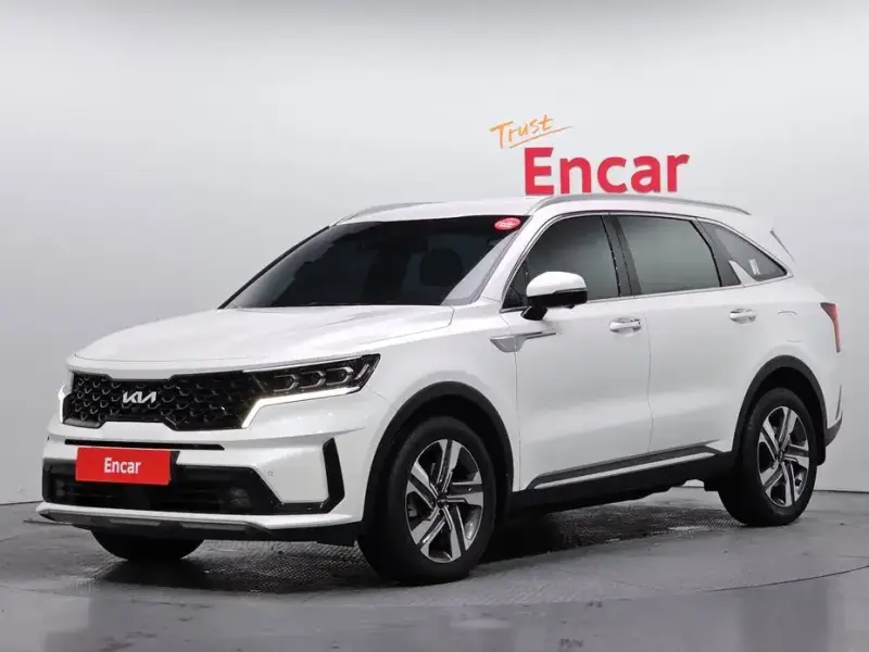 2020 Kia Sorento с пробегом 132 004 км