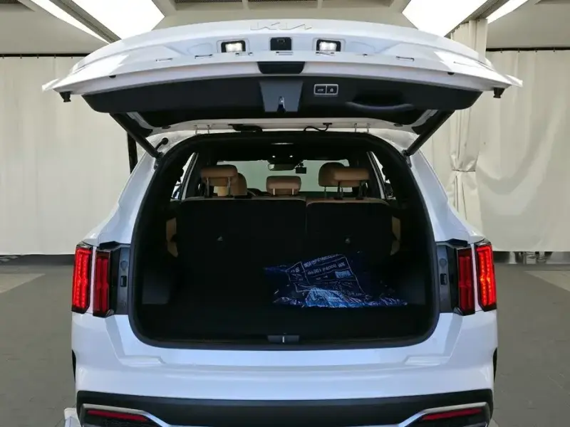 2022 Kia Sorento с пробегом 49 084 км