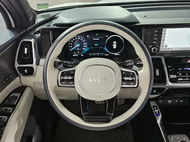 2023 Kia Sorento с пробегом 33 114 км