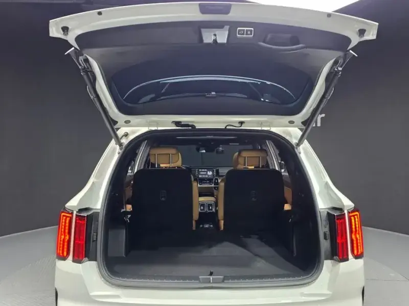 2021 Kia Sorento с пробегом 51 302 км