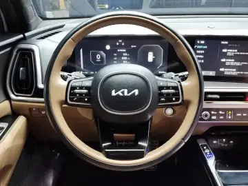 2023 Kia Sorento с пробегом 35 479 км