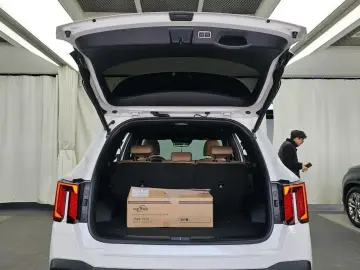 2024 Kia Sorento с пробегом 30 713 км