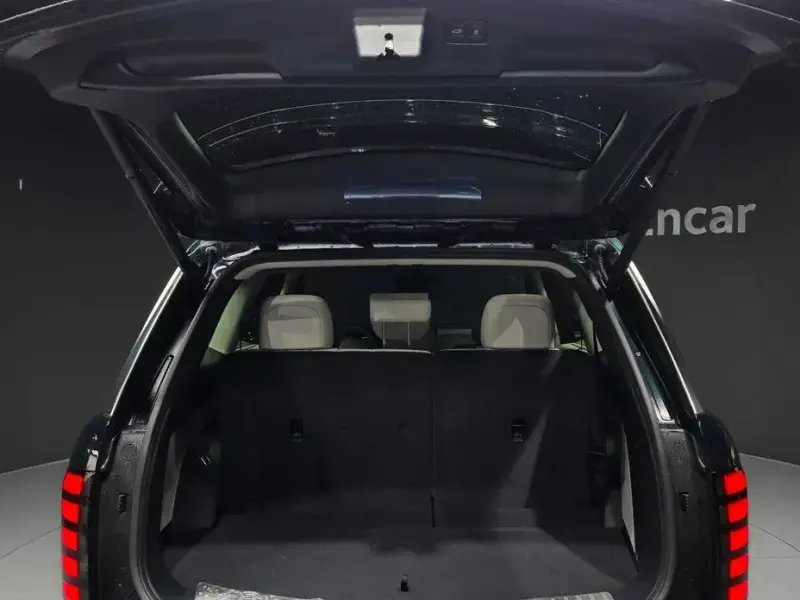 2025 Hyundai Palisade с пробегом 11 054 км