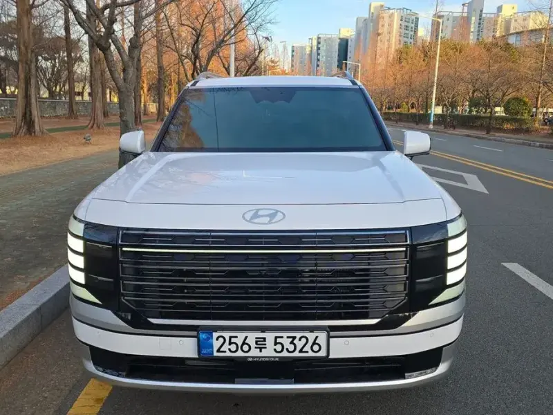 2025 Hyundai Palisade с пробегом 807 км