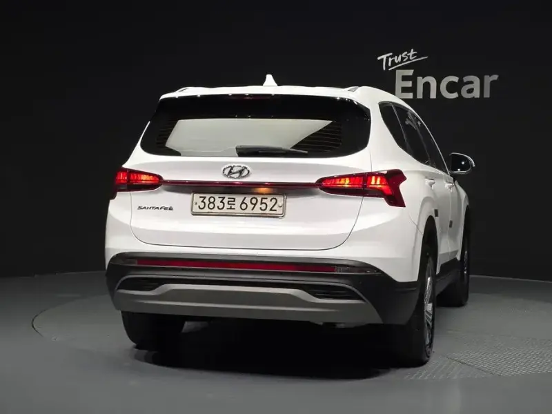 2020 Hyundai Santa Fe с пробегом 166 291 км