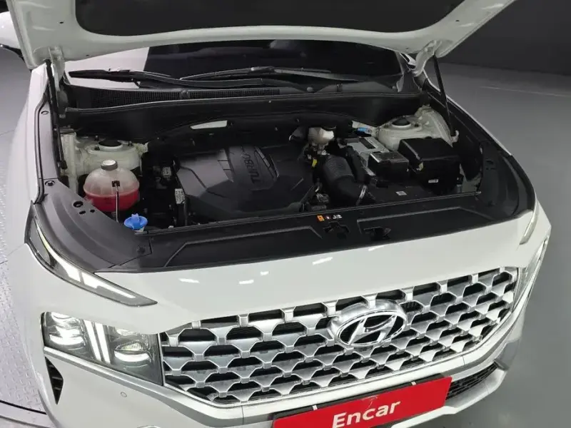 2020 Hyundai Santa Fe с пробегом 117 331 км