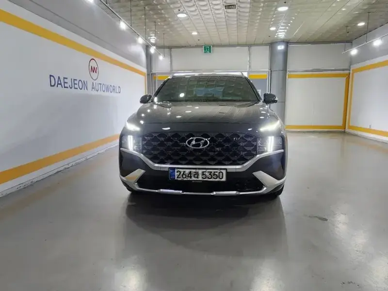 2020 Hyundai Santa Fe с пробегом 560 005 км