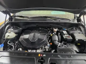 2020 Hyundai Santa Fe с пробегом 560 005 км