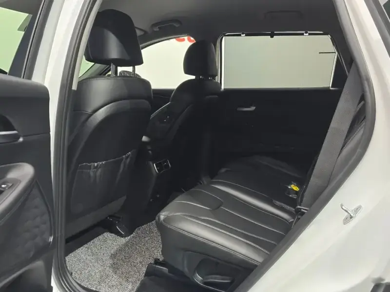2021 Hyundai Santa Fe с пробегом 117 214 км
