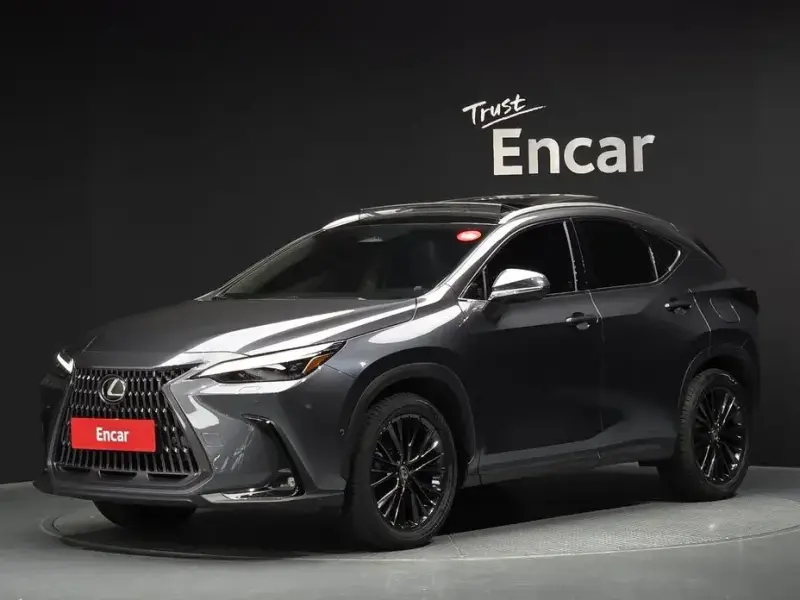 2024 Lexus NX с пробегом 29 136 км
