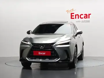 2024 Lexus NX с пробегом 31 707 км
