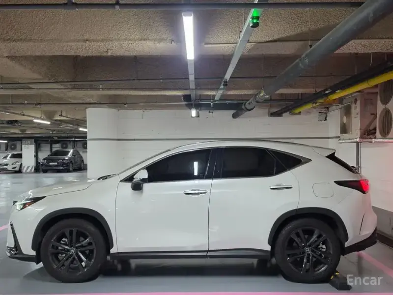 2025 Lexus NX с пробегом 9 755 км