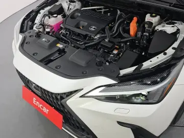 2024 Lexus NX с пробегом 17 075 км