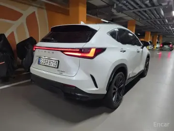 2024 Lexus NX с пробегом 12 000 км