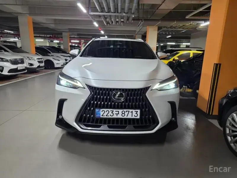 2024 Lexus NX с пробегом 12 000 км
