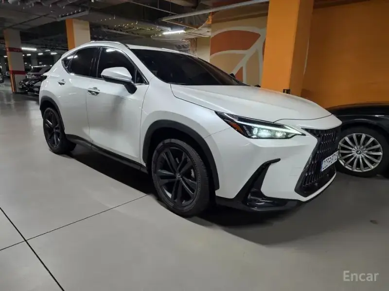 2024 Lexus NX с пробегом 12 000 км