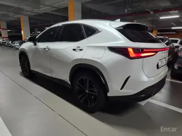 2024 Lexus NX с пробегом 12 000 км