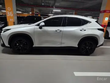 2024 Lexus NX с пробегом 12 000 км